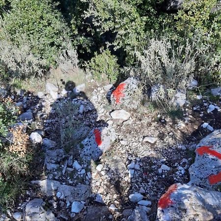 Hamiti Camping Center Dukat Exterior foto